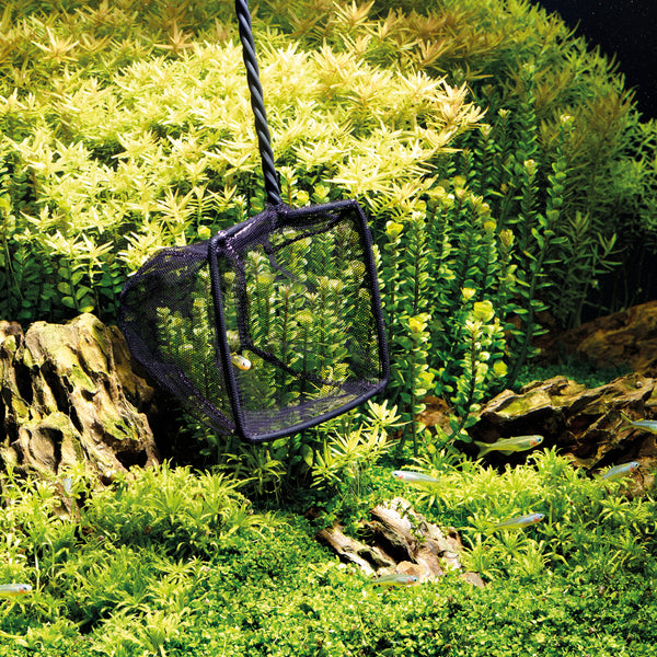 OASE Aquarium Fish Nets Australia Oase Indoor Aquariums