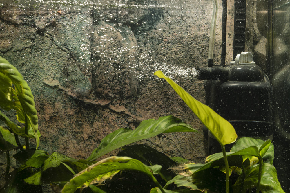 Troubleshooting Common Aquarium Filter Issues
