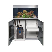 Fish Tank Setup With External Filter: Ultimate Guide for Crystal Clear Water