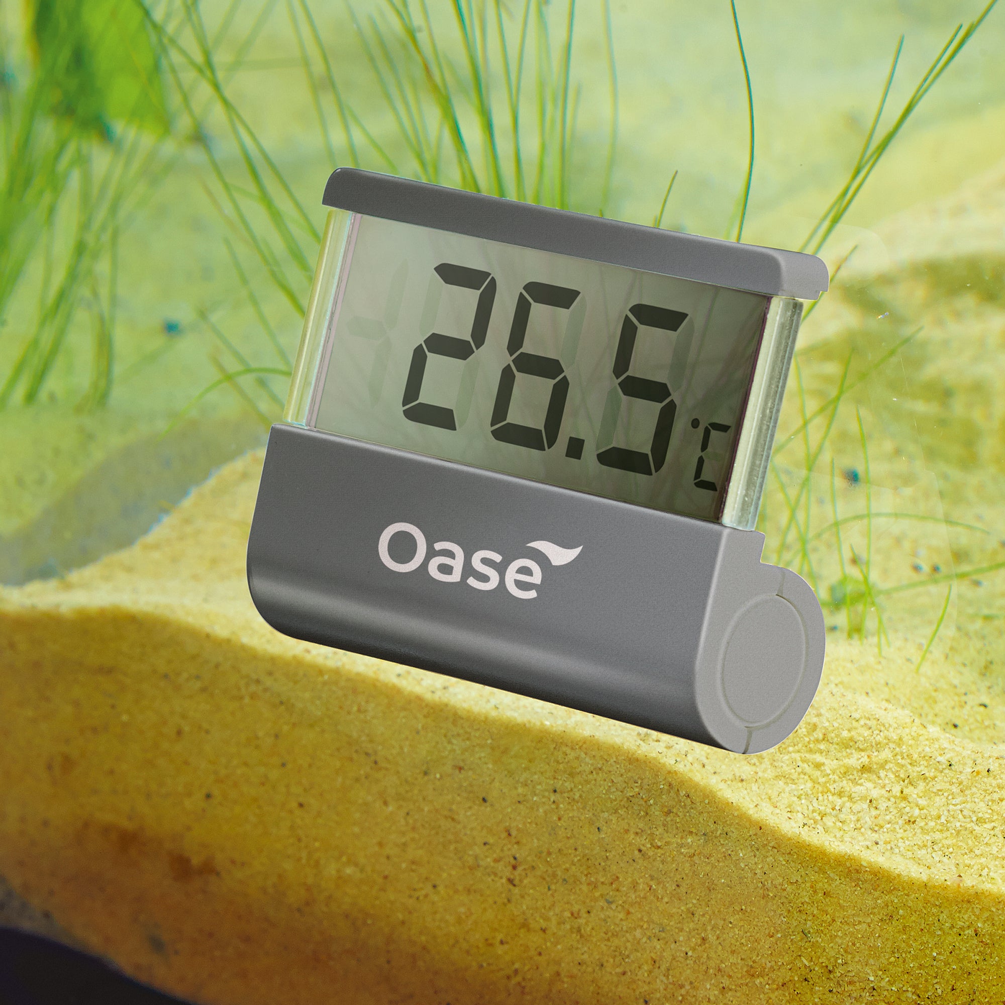 OASE Aquarium Digital Thermometer